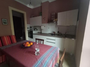 Appartamento intero a due minuti dal Pala Alpi Tour